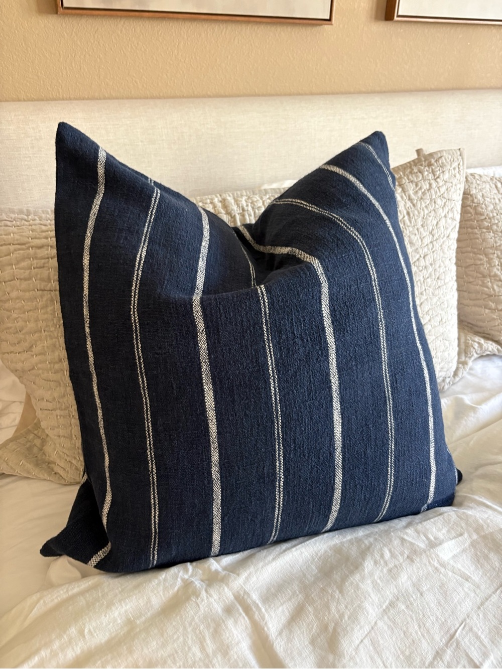 Crate&Barrel Pillow cover 23x23 ($24). Pottery Barn down insert ($22).